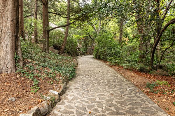 Stone Walkway Repair in Ventura