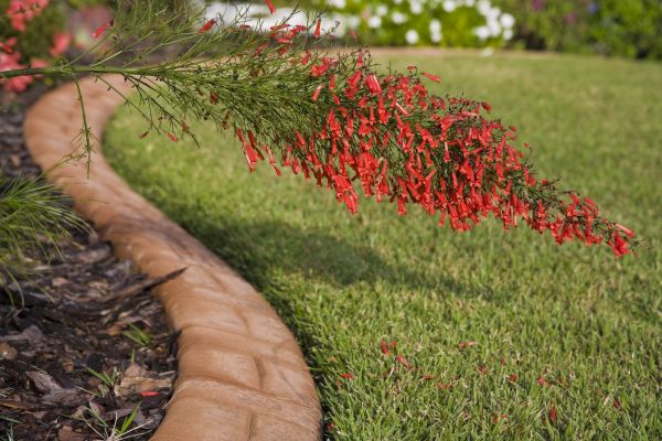 Brick Edging in Ventura