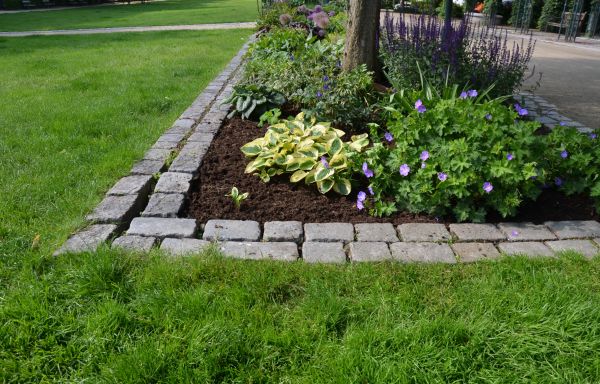 Stone Edging Installation in Ventura
