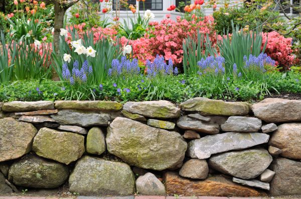 Stone Wall Hardscaping in Ventura