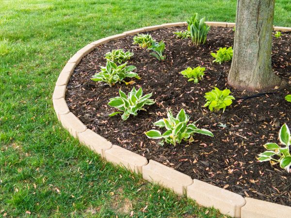 Stone Border Installation in Ventura