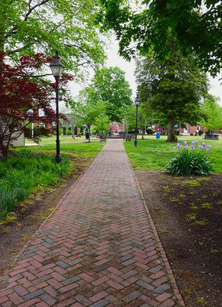 Brick Pathway Repair in Ventura