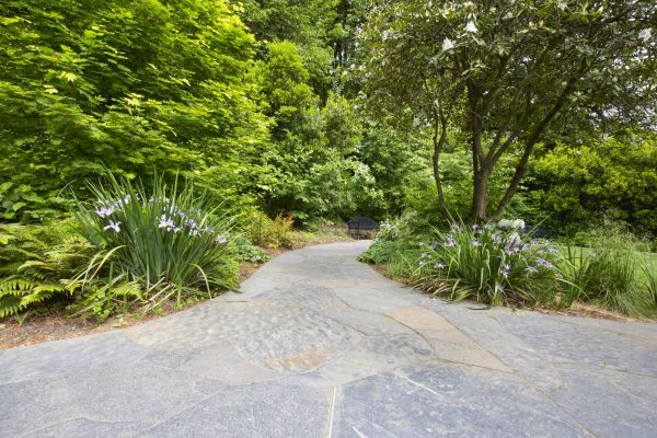 Stone Hardscape Service in Ventura